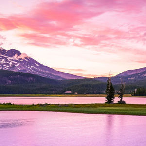 Meet your Posher, Shopper